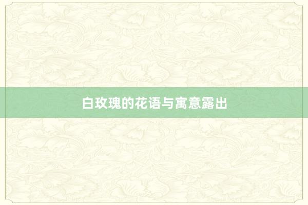 白玫瑰的花语与寓意露出