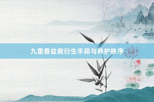 九里香盆栽衍生手段与养护秩序