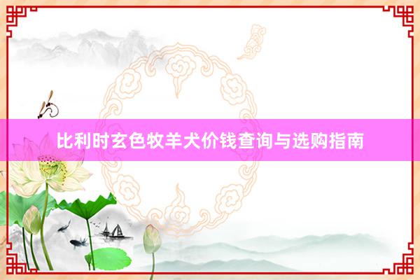 比利时玄色牧羊犬价钱查询与选购指南