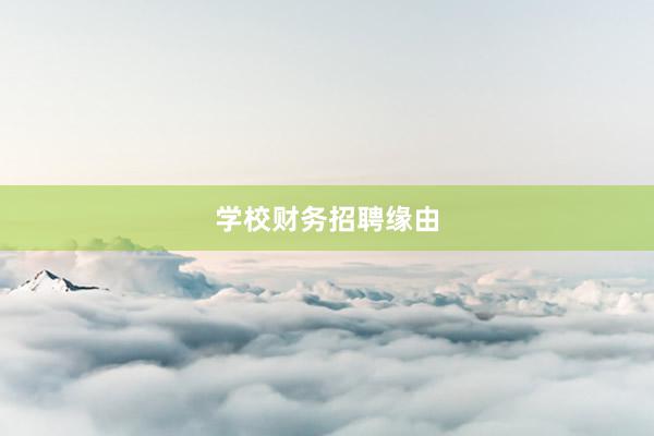 学校财务招聘缘由